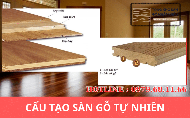 cấu tạo sàn gỗ tự nhiên
