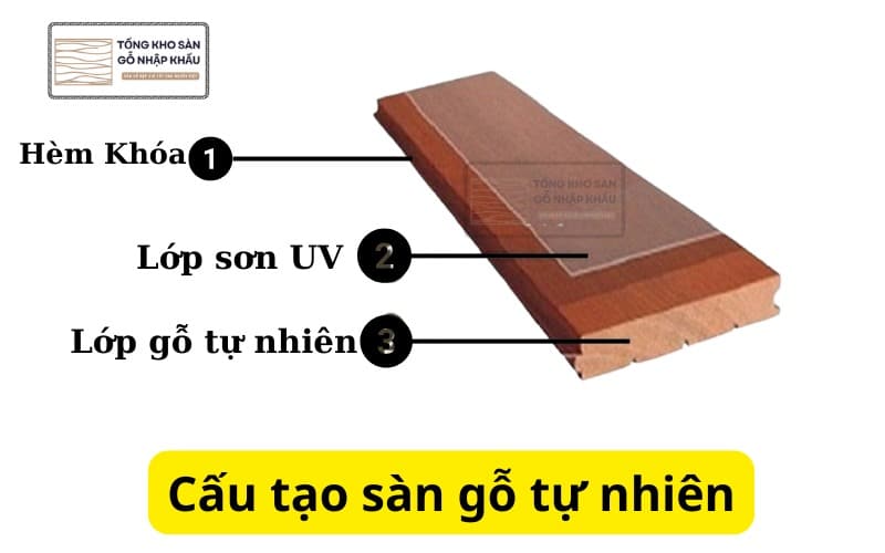 Cấu tạo sàn gỗ tự nhiên