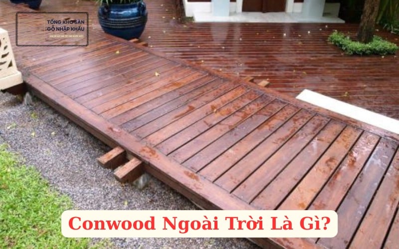 Conwood Ngoài Trời