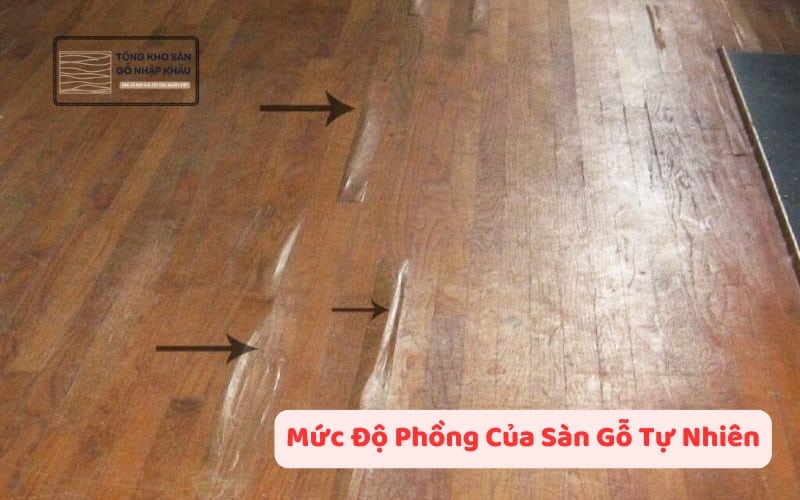 Mức Độ Phồng Của Sàn Gỗ Tự Nhiên