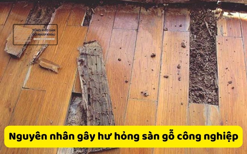 Nguyên nhân gây hư hỏng sàn gỗ công nghiệp