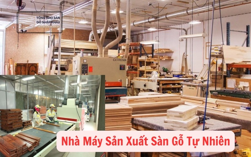 Nhà Máy Sản Xuất Sàn Gỗ Tự Nhiên