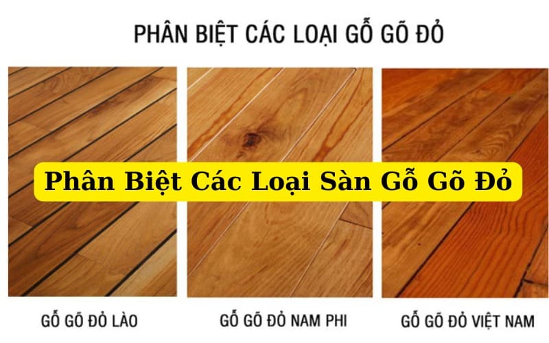 Phân Biệt Các Loại Sàn Gỗ Gõ Đỏ