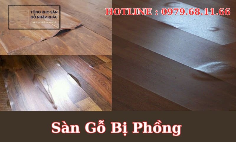 Sàn Gỗ Bị Phồng