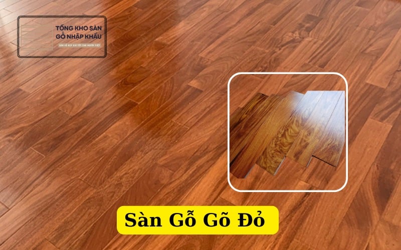 Sàn Gỗ Gõ Đỏ