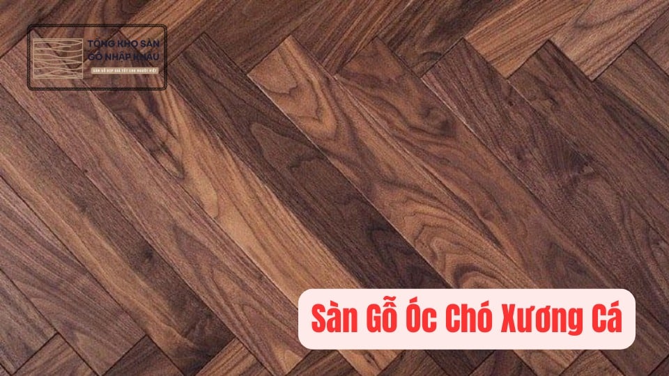 Sàn Gỗ Óc Chó Xương Cá