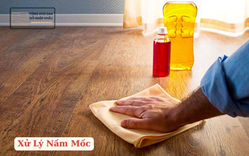 Xử Lý Nấm Mốc