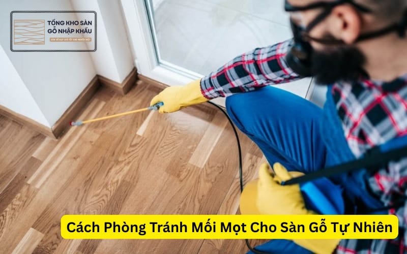 Cách Phòng Tránh Mối Mọt Cho Sàn Gỗ Tự Nhiên