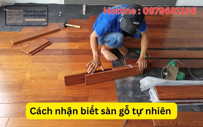Cách nhận biết sàn gỗ tự nhiên