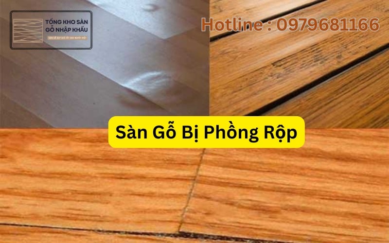 Sàn Gỗ Bị Phồng Rộp