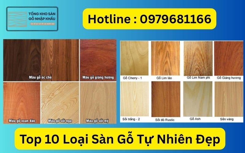 Top 10 Loại Sàn Gỗ Tự Nhiên Đẹp