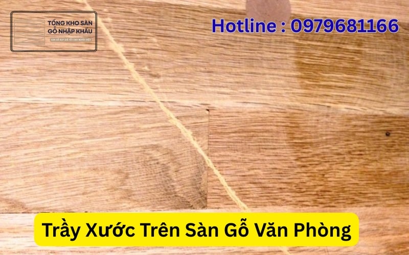 Trầy Xước Trên Sàn Gỗ Văn Phòng