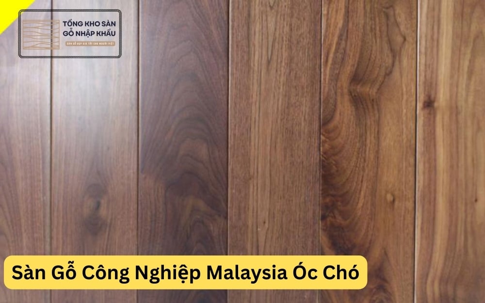 Sàn Gỗ Công Nghiệp Malaysia Óc Chó