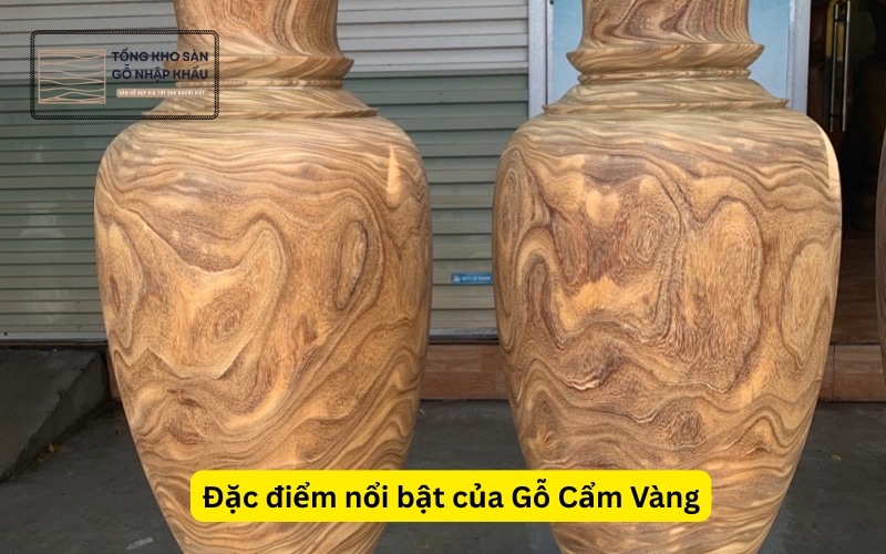 Đặc điểm nổi bật của Gỗ Cẩm Vàng